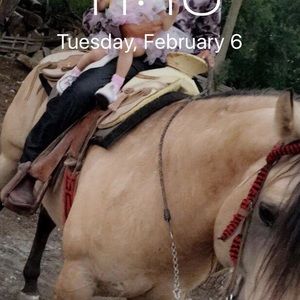 Meet your Posher, Jose